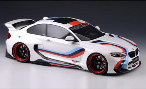 Diecast model cars Bmw M2 1/18 GLM 35i (F22) DarwinPRO MTC Black Sails Widebody white/Dekor 2015 Bmw M2 1/18 GLM 35i (F22) DarwinPRO MTC Black Sails Widebody white/Dekor 2015 diecast model cars