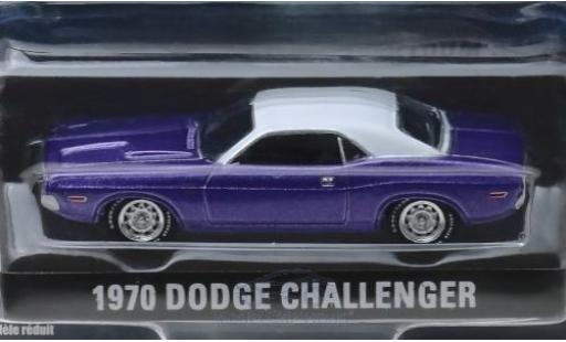 Diecast model cars Dodge Challenger 1970 1/64 Greenlight metallic purple/white Graveyard Carz 1970 Dodge Challenger 1970 1/64 Greenlight metallic purple/white Graveyard Carz 1970 diecast model cars