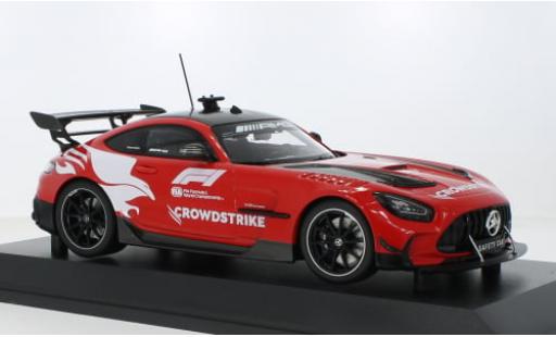 Diecast model cars Mercedes AMG GT 1/18 Minichamps Black Series Formel 1 2023 1:18 Mercedes AMG GT 1/18 Minichamps Black Series Formel 1 2023 1:18 diecast model cars