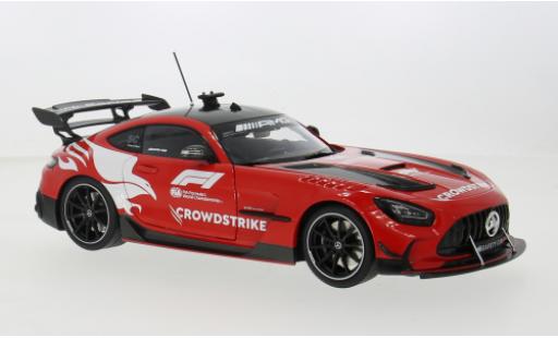 Diecast model cars Mercedes AMG GT 1/18 Minichamps Black Series Formel 1 2024 1:18 Mercedes AMG GT 1/18 Minichamps Black Series Formel 1 2024 1:18 diecast model cars