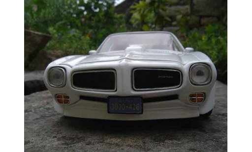 Pontiac Firebird 1973 1/18 Ertl trans am diecast model cars